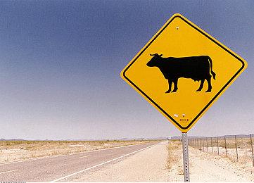 Steam特别好评像素RPG游戏限时免费领取